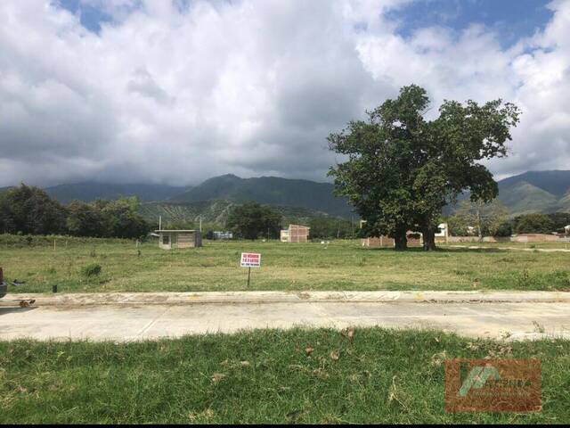 #046 - Terreno para construcción para Venta en Roldanillo - VAC - 1